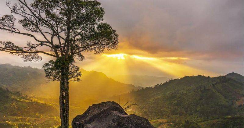 Youtube.com/Adrasa ID